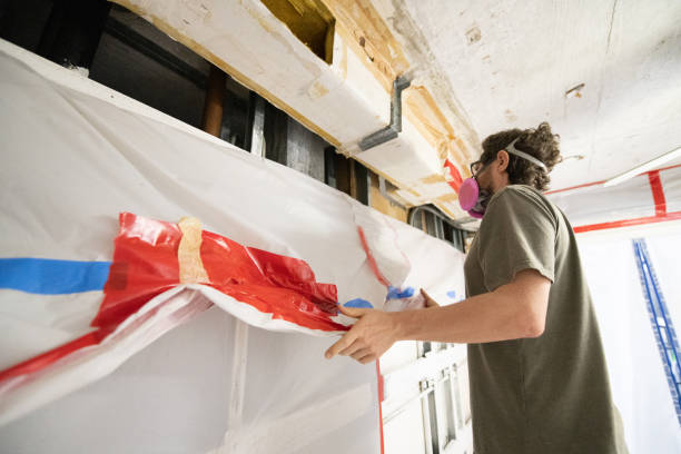 Best Attic Mold Removal  in North Charleroi, PA