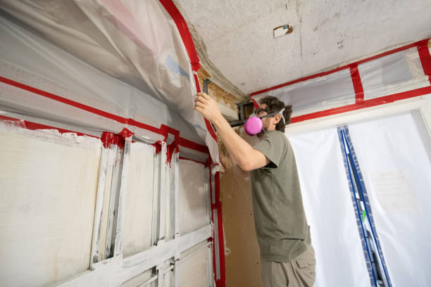 North Charleroi, PA Mold Inspection, Removal & Remediation Company